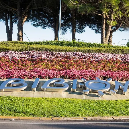 Well-equipped 1 Bedroom Flat For Up To 6 Guests Lägenhet Bibione